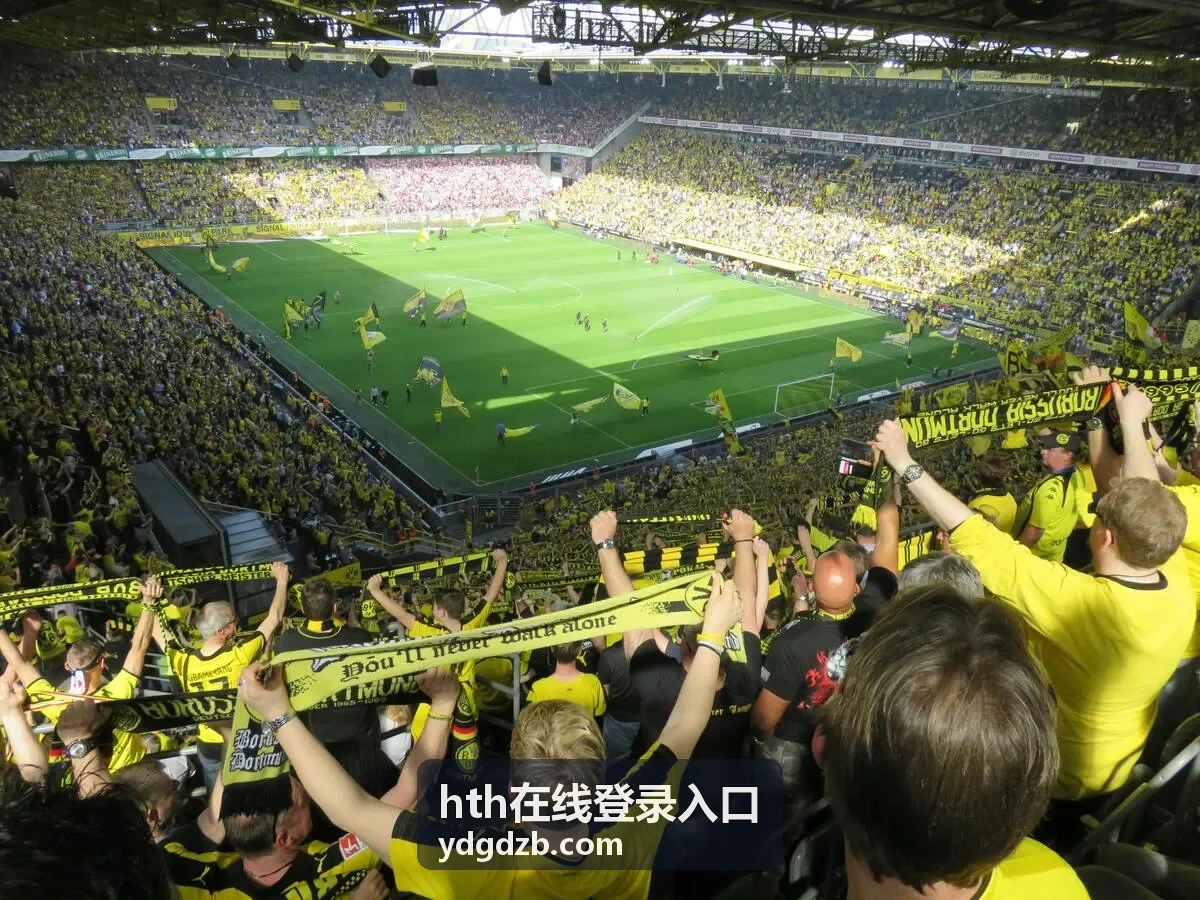 hth在线登录入口登录凭证核对示意