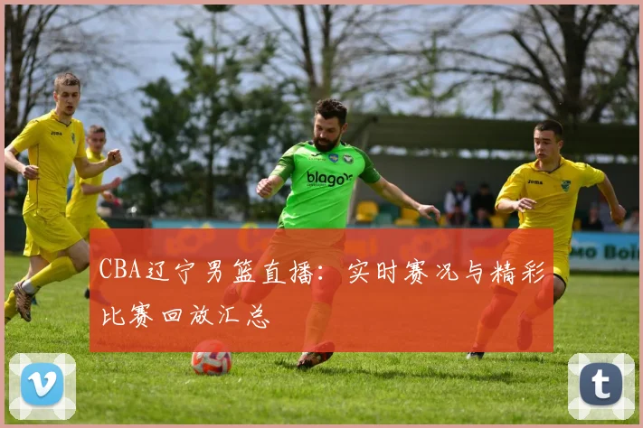 CBA辽宁男篮直播：实时赛况与精彩比赛回放汇总