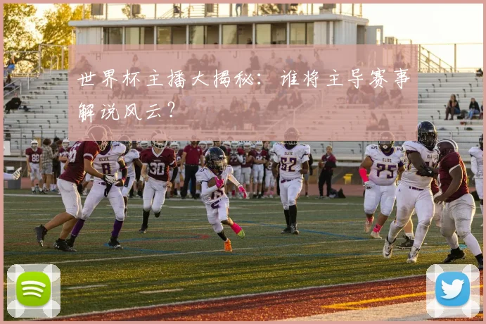 世界杯主播大揭秘：谁将主导赛事解说风云？