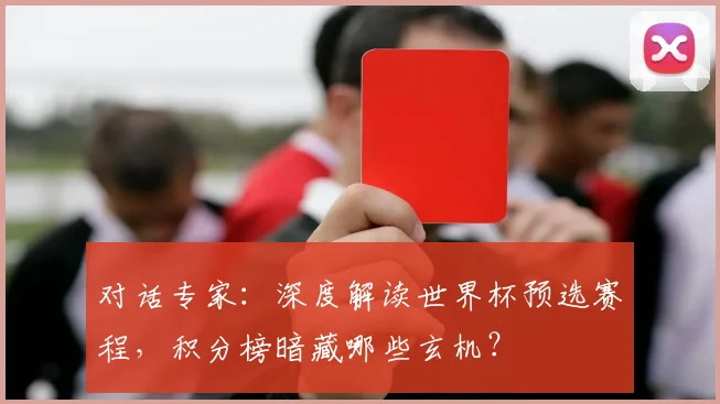 对话专家:深度解读世界杯预选赛程,积分榜暗藏哪些玄机?