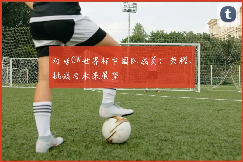 对话OW世界杯中国队成员：荣耀、挑战与未来展望