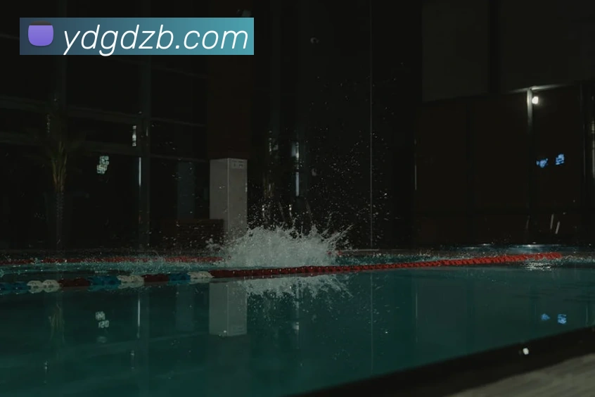 多媒体互动体验