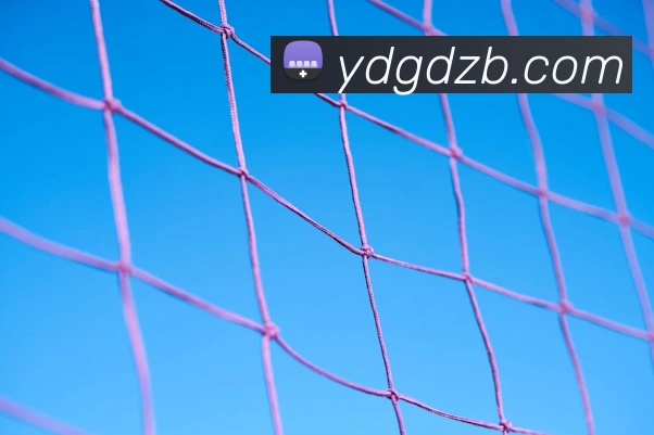 开云官方网最新版APP 高清赛事图